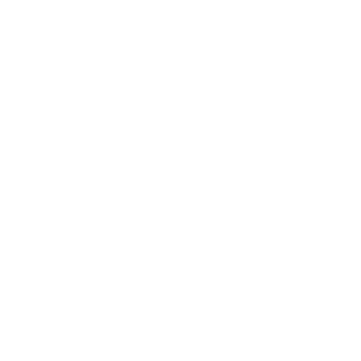 Icono de Cámara de Seguridad
